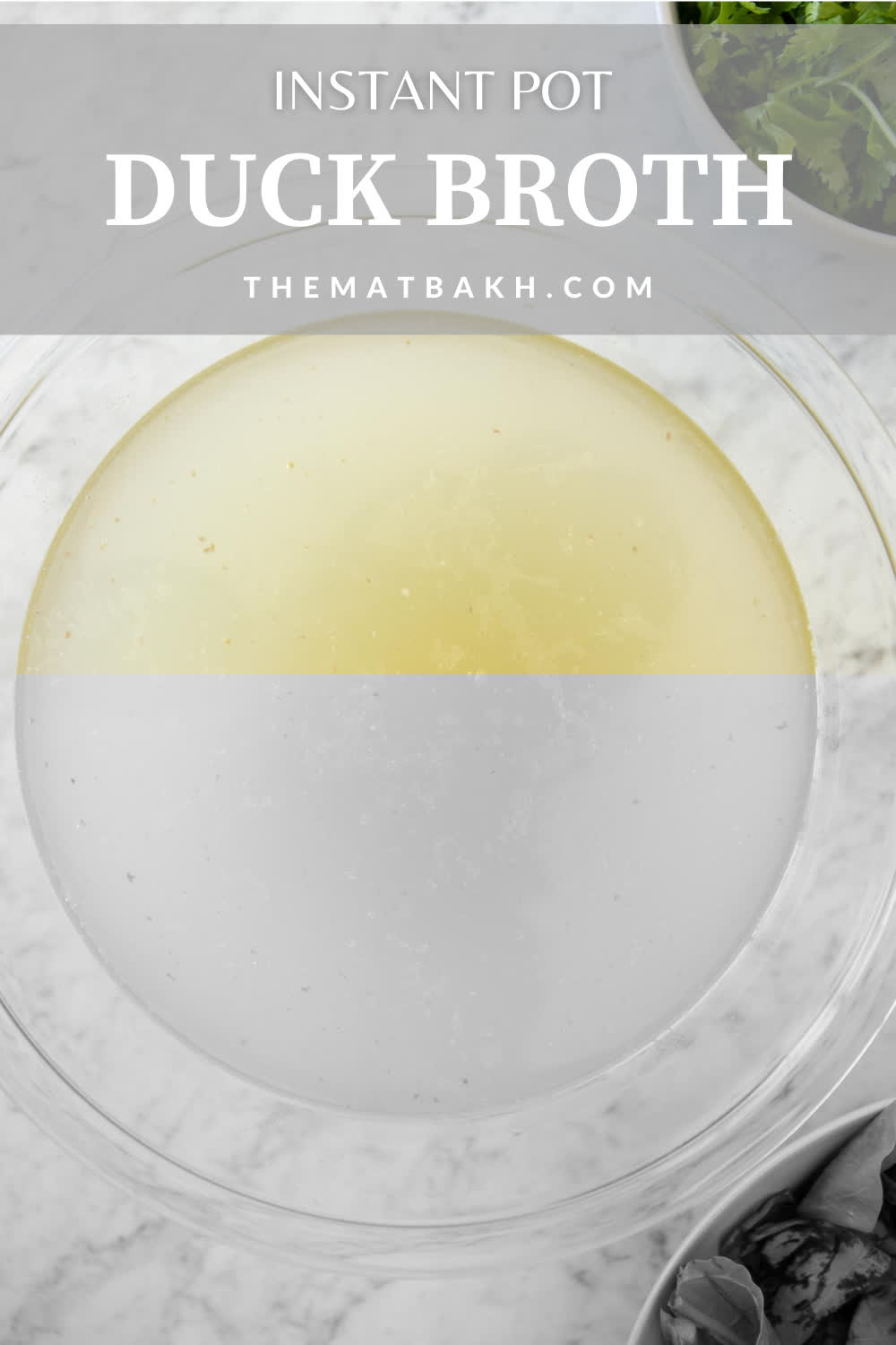 Duck Stock Recipe (Instant Pot Duck Broth) The Matbakh