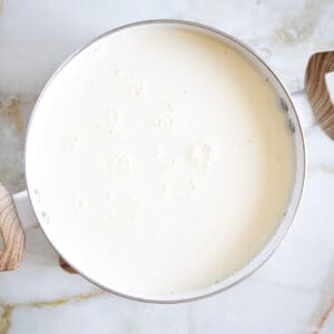 Easy Lebanese Homemade Yogurt (Laban) - The Matbakh