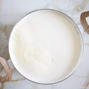 Easy Lebanese Homemade Yogurt (Laban) - The Matbakh