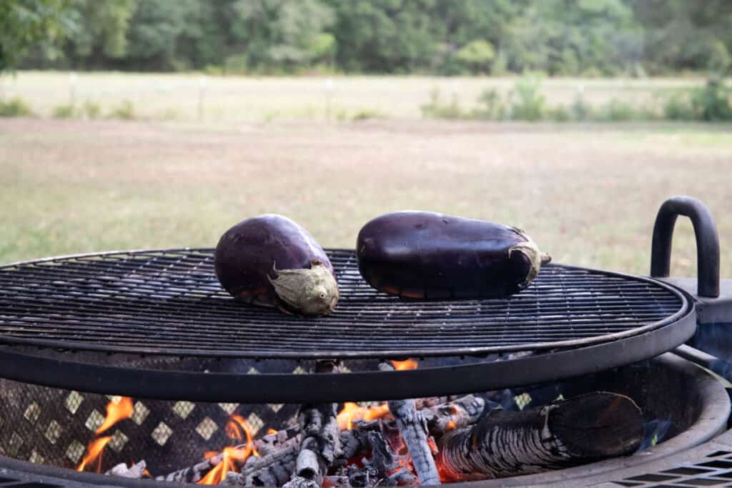 Lebanese Baba Ganoush (Fire Roasted Eggplant Dip) The Matbakh