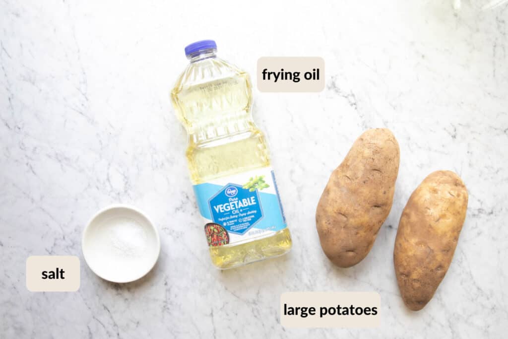 Easy Homemade French Fries - The Matbakh