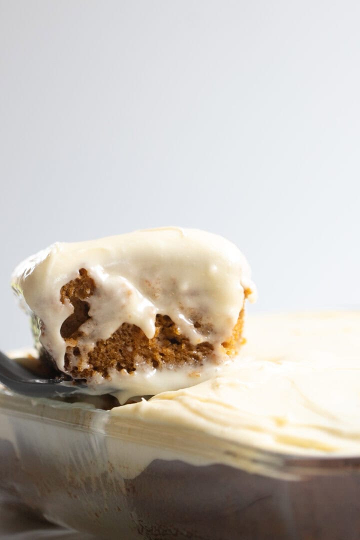 Pumpkin Olive Oil Cake with Cream Cheese Icing The Matbakh