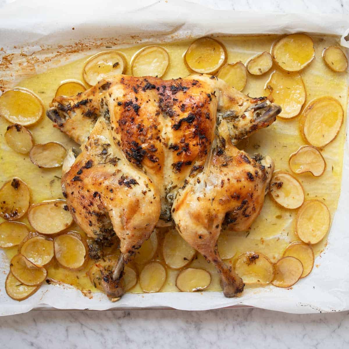 slow roasted whole spatchcock chicken roasted with garlic lemon olive oil and herbs on top of potatoes.