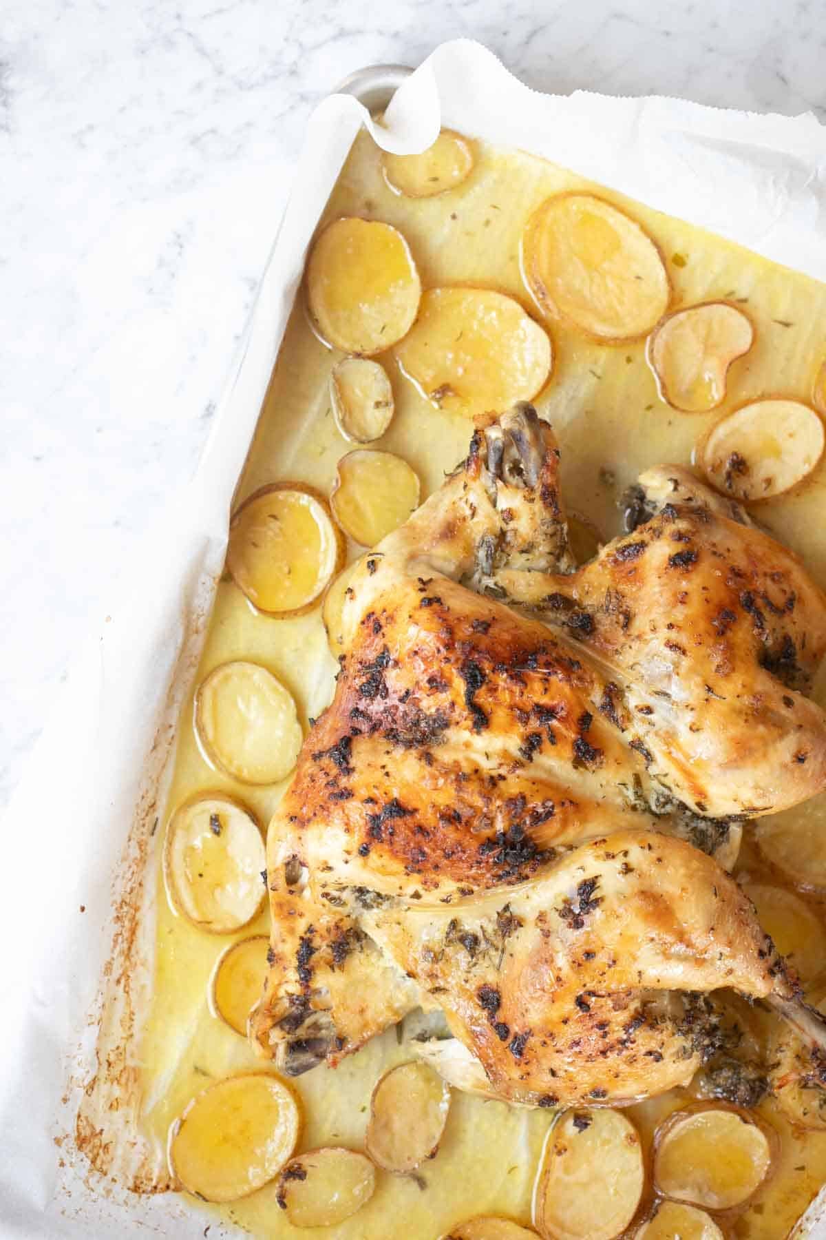 oven roasted whole spatchcock lemon chicken roasted with garlic lemon olive oil and herbs on top of potatoes in a baking dish.