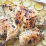 oven roasted whole spatchcock chicken roasted with garlic lemon olive oil and herbs on top of potatoes.