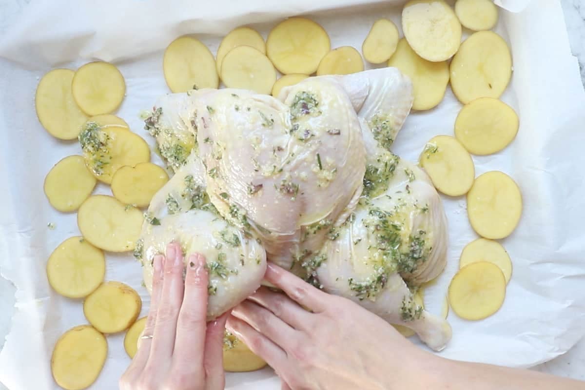 lather the Mediterranean marinade all over the whole chicken.