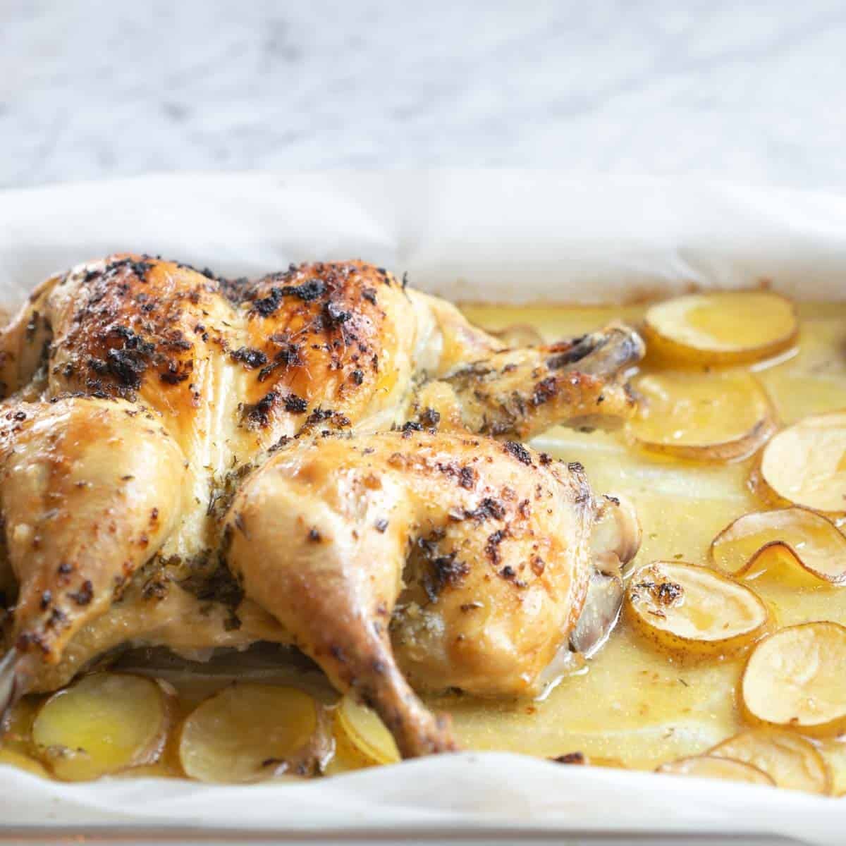 oven roasted whole spatchcock lemon chicken roasted with garlic lemon olive oil and herbs on top of potatoes.