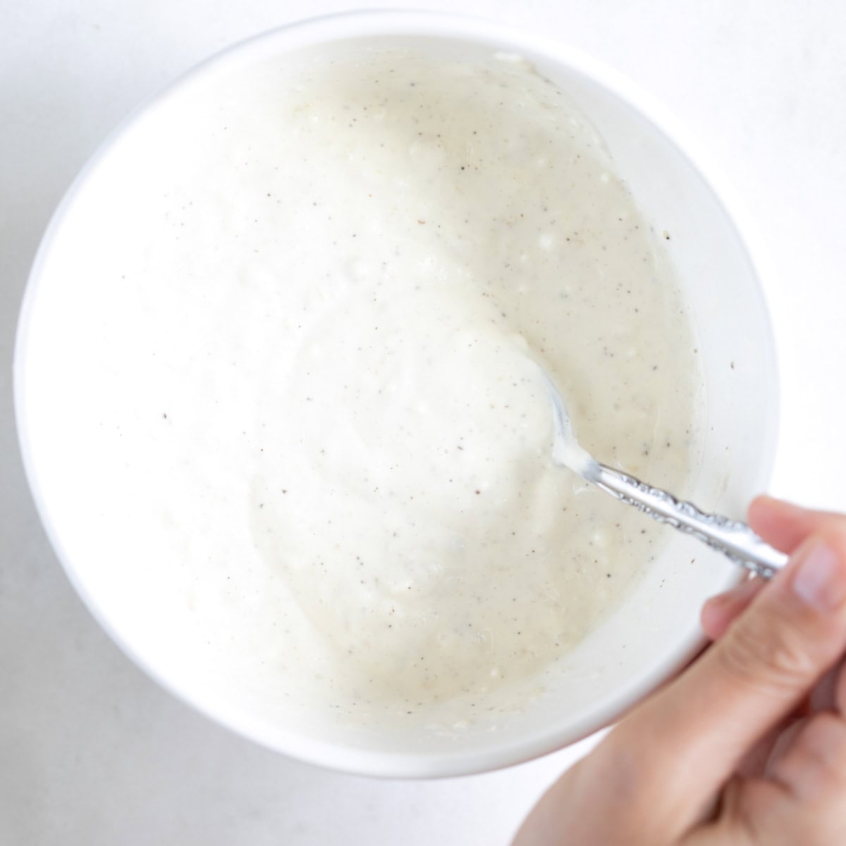 the homemade garlic lemon aioli sauce.